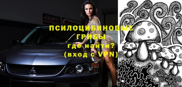 стаф Балахна