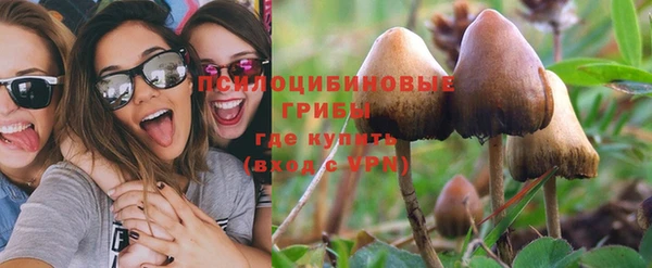 крисы Балабаново