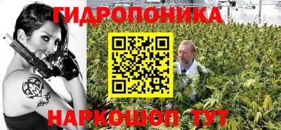гашик Малгобек
