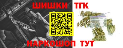 стаф Можга