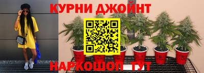 гашик Малгобек